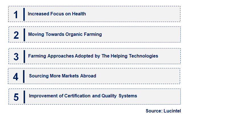 Emerging Trends in the Organic Sesame Seed Market